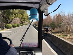 -双山岛