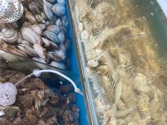 -港畔赶海蒸汽海鲜烧烤自助(仙螺岛店)
