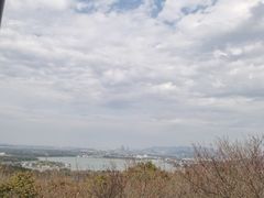 -香雪海