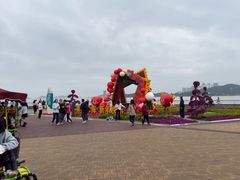 -野狸岛