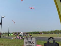 -春花秋色城市公园