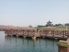 -上海海湾国家森林公园