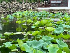 -无锡蠡湖国家湿地公园-蠡园