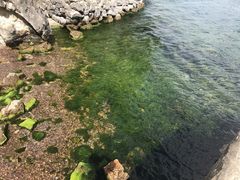 -抚仙湖禄充风景区