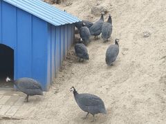 -森林公园(尖草坪区)