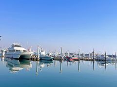 -巧克力渔家.小船海鲜胶东菜(万平口店)