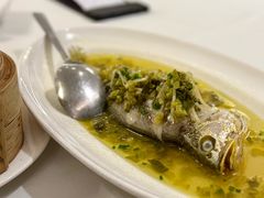 -皇朝尊会(龙之梦大酒店)