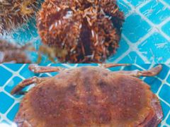 -三亚火车头万人海鲜广场