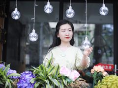 -泡桐树街
