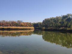 -大兴滨河森林公园