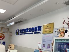 -北京观赏动物医院·24小时大型综合·猫专科·异宠专科