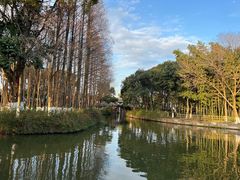 -乌镇景区