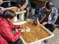 -苏州市吴中区光福窑上花果蜜饯厂