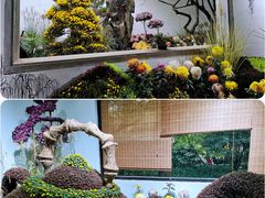 -杭州植物园