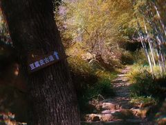 -西湖文化广场