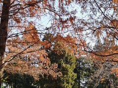 -国家植物园南园