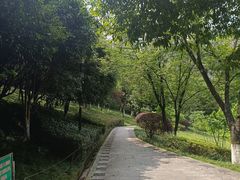 -龙头寺公园