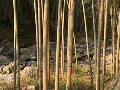 -明月山风景名胜区