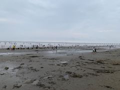 -南汇新城海滩