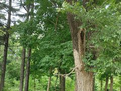 -长春市南湖公园