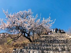 -龙泉峪长城