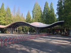 -东平国家森林公园