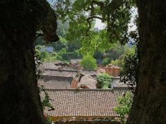 -杨家堂村