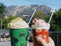 -雾与山茶(大禹城店)