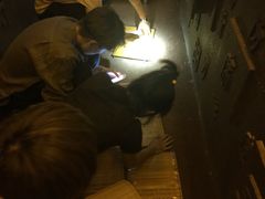 -MOJO密室逃脱(中街旗舰店)