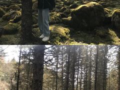 -硗碛藏寨·神木垒景区