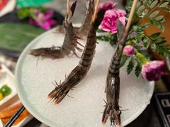 -禄婶鸡煲·打边炉