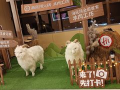 -海底捞火锅(河东万达广场店)