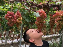 -兴芮温泉度假区