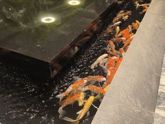 -弘安丽水温泉酒店