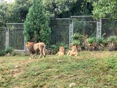 -西安秦岭野生动物园