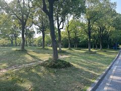 -上海吴淞炮台湾国家湿地公园