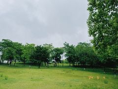 -盘龙城国家考古遗址公园