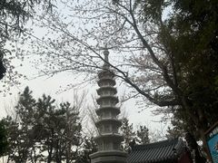 -海东龙宫寺
