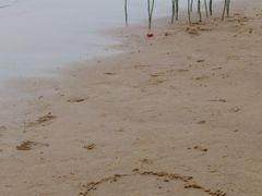 -那香海钻石沙滩浴场