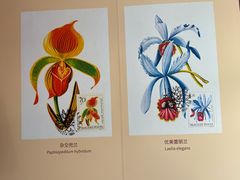 -国家植物园南园