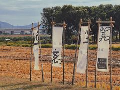 -光明小镇欢乐田园