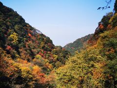 -西安祥峪森林公园