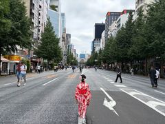 -秋叶原电器街