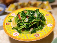 丝瓜苗-那家小馆•北京菜•烤鸭(中关村店)