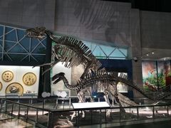 -湖南省地质博物馆