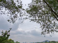 -羊山湖公园