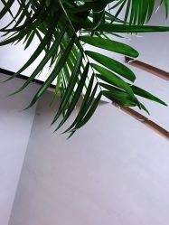 大厅-SEBASTIAN塞巴斯汀