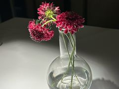 -月芽·自由餐厅·西溪湿地餐厅