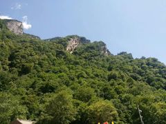 -青峰峡国家森林公园