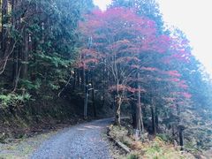 -比叡山